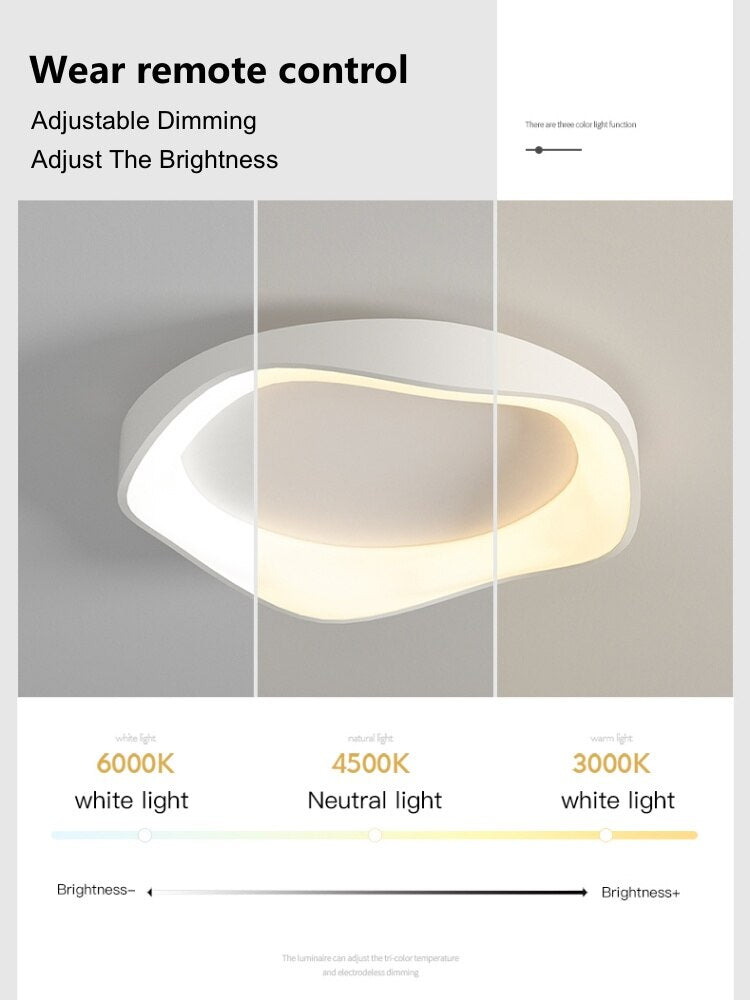 LED Ceiling Light LT68