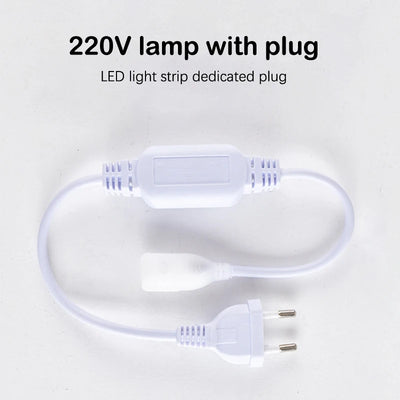 220V Waterproof Light Strip Plug LT104