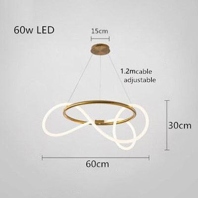 Modern Hose Led Ceiling Chandelie LT77