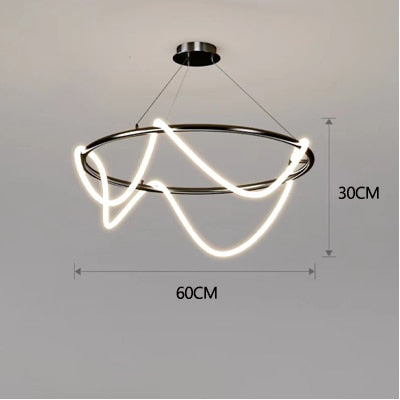 Modern Hose Led Ceiling Chandelie LT77