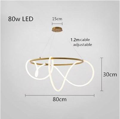 Modern Hose Led Ceiling Chandelie LT77