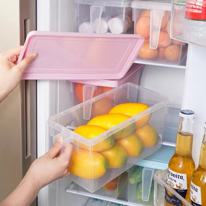 Container 5l Food 5L PP Fresh-keeping Food Vegetable Storage Container HM25