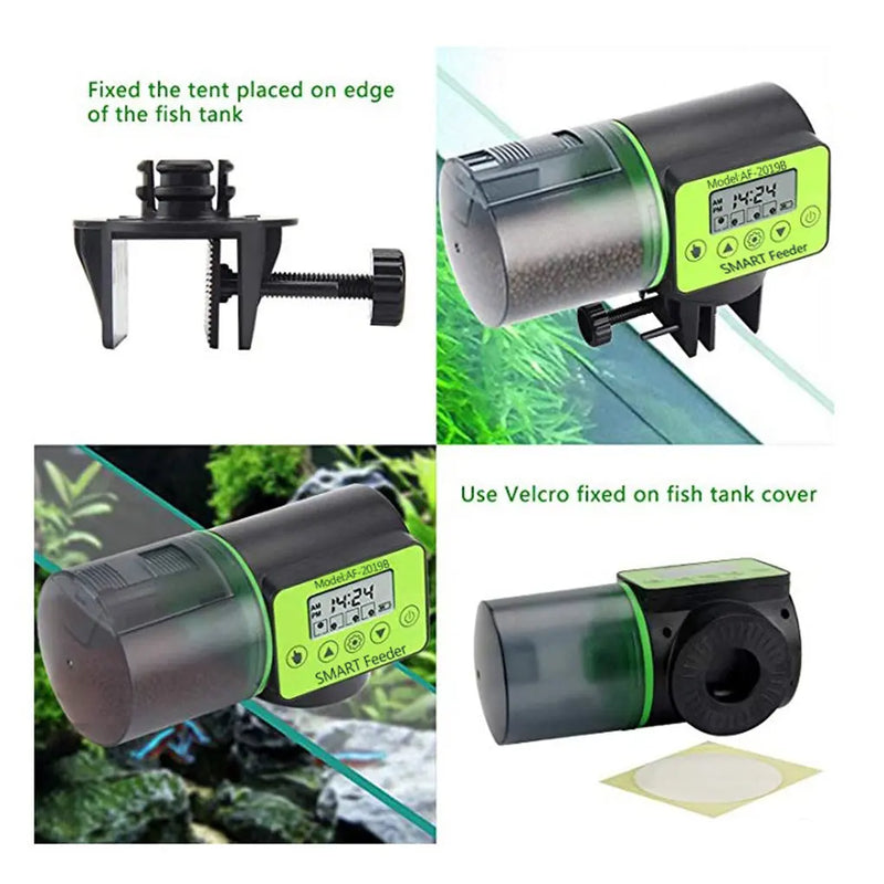 https://yeechop.com/search?type=product%2Carticle%2Cpage%2Ccollection&q=Automatic%20Fish%20Feeder%20GD6*