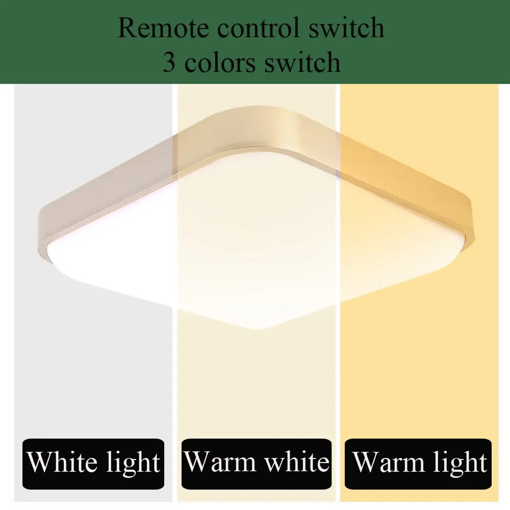 https://yeechop.com/products/led-solar-ceiling-lamp-lt31?_pos=1&_sid=d5452ae81&_ss=r