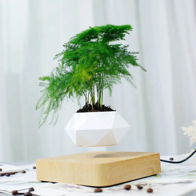 https://yeechop.com/products/levitating-bonsai-pot?_pos=1&_sid=465230ede&_ss=r